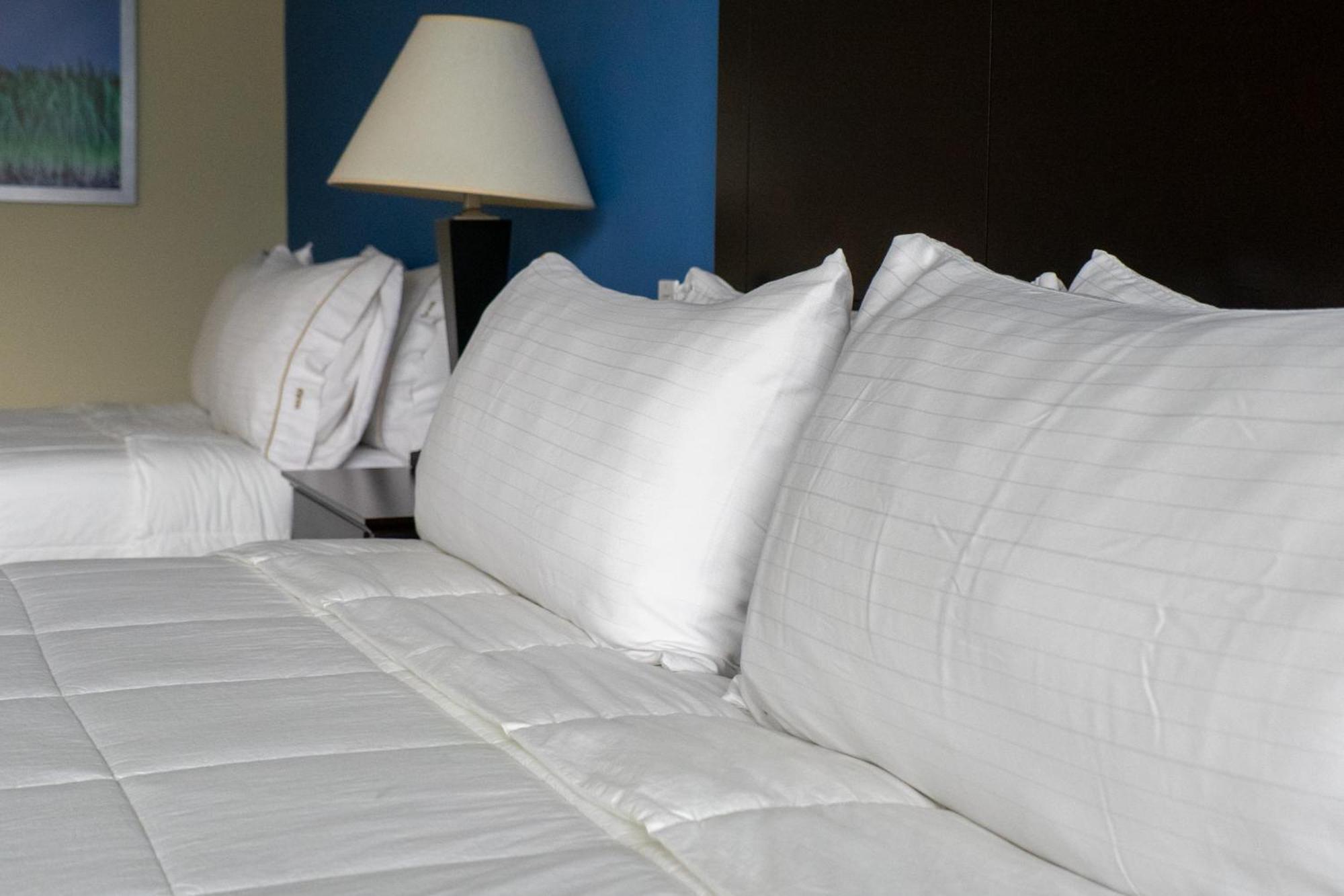 Intercity Hotels San Pedro Sula Exteriör bild